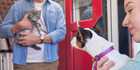 A new dog being introduced to a resident cat